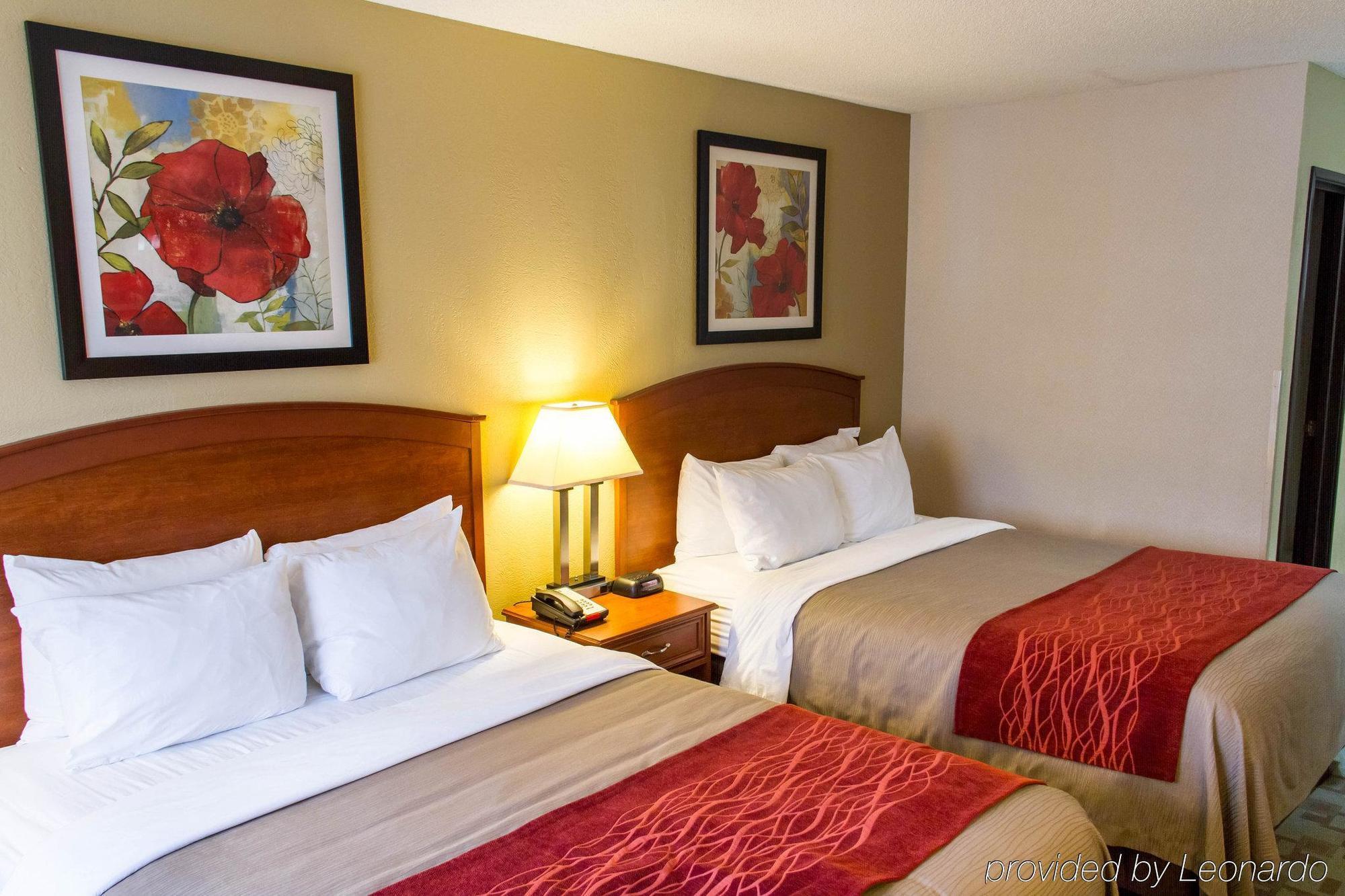 Comfort Inn Hastings Kültér fotó